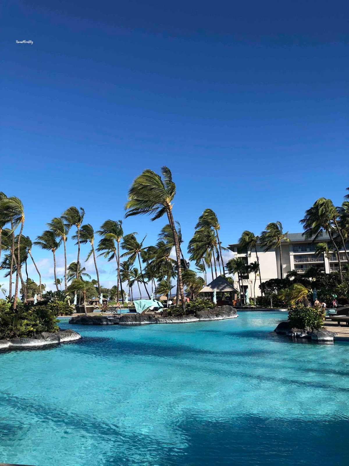 Hawaii Mom Blog Visit Big Island Fairmont Orchid