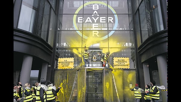 Bayer presentó excusas por el espionaje organizado por Monsanto, de su propiedad Bayer presentó excusas por el espionaje organizado por Monsanto, de su propiedad