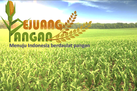 Price Down Pelican Bay Hotel