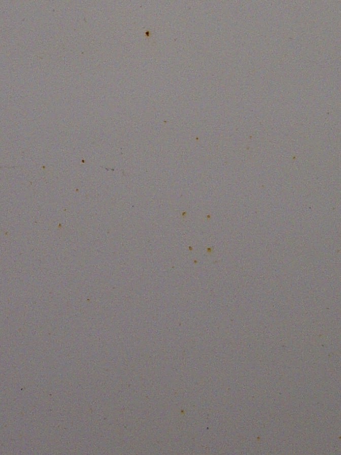 Autos 101 Blog Yellow Car Spots