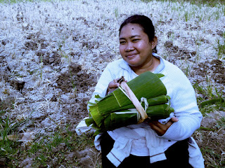 Just Got Banana Leaves In The Farm Field, Banjar Kuwum, Ringdikit Village, North Bali, Indonesia