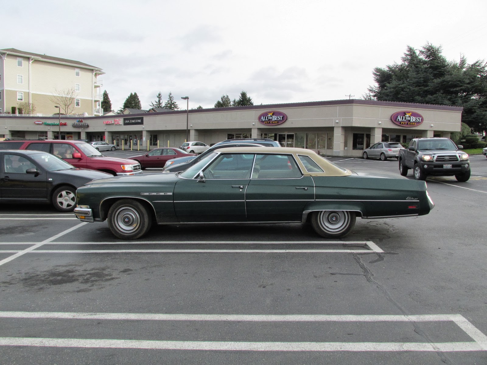 Seattle's Classics 1975 Buick Electra 225