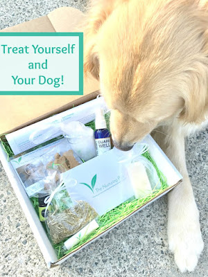 health and wellness subscription box for dogs and their owner