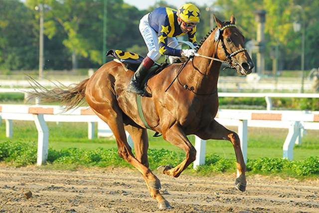 Epic Forum corre hoy el Handicap Mariache en Palermo Epic Forum Malibu Moon Palermo