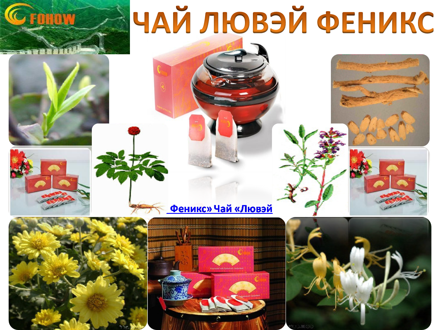 Гаосен феникс. Чай Феникс Fohow. Продукция Фохоу чай ЛЮВЕЙ. Чай ЛЮВЕЙ Феникс. Чай Лювэй Феникс полезные свойства.