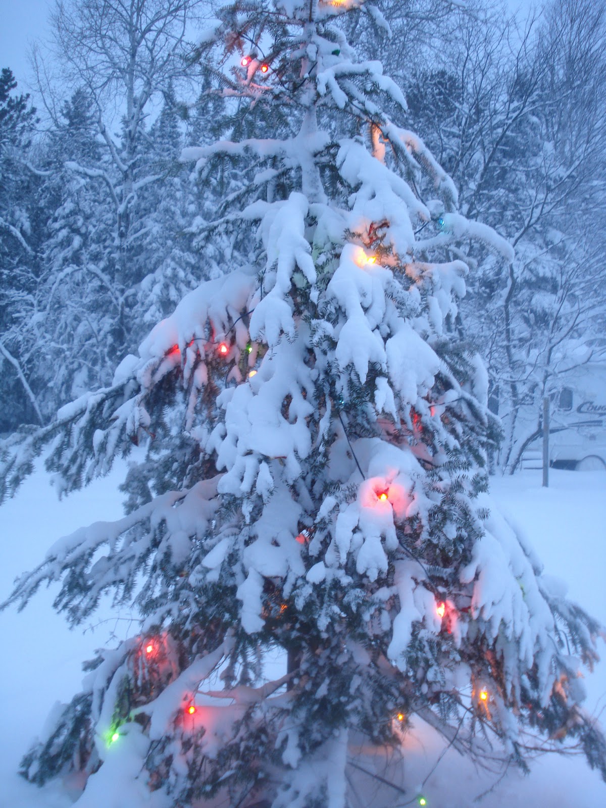 Shadow Lane Farm My Yule/Christmas Tree