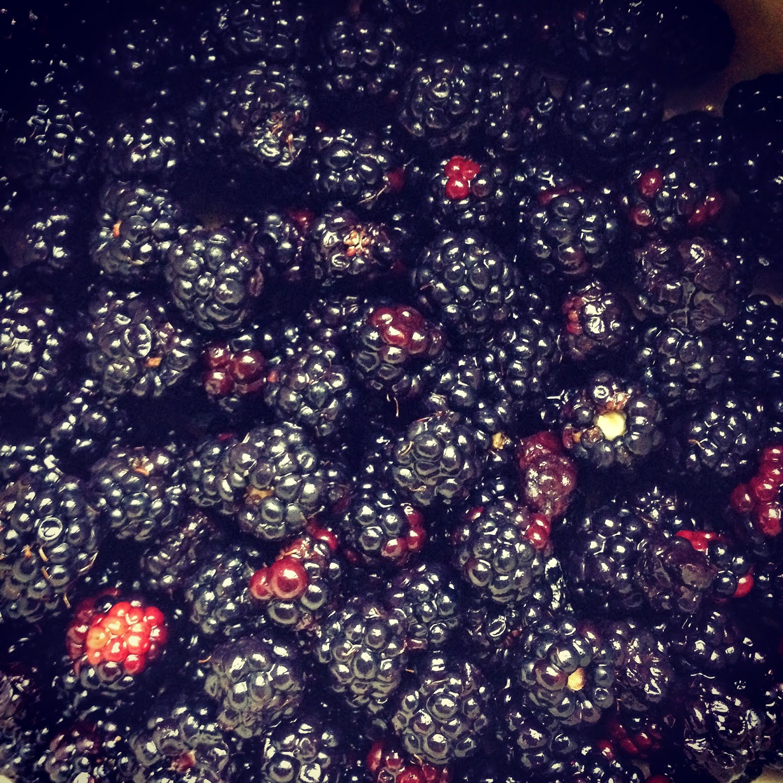 Blackberry Jam Crumble Tart The Grazer