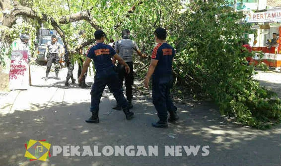 Pekalongan News