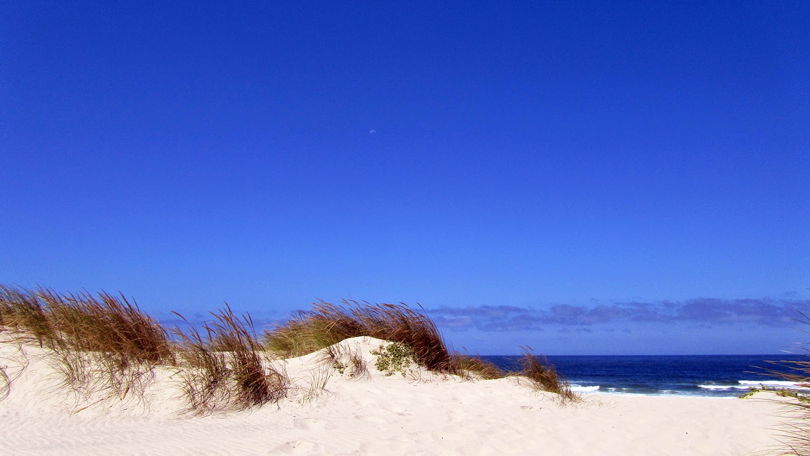 Playas en Aveiro_ameiseblog Playas Aveiro_ameiseblog
