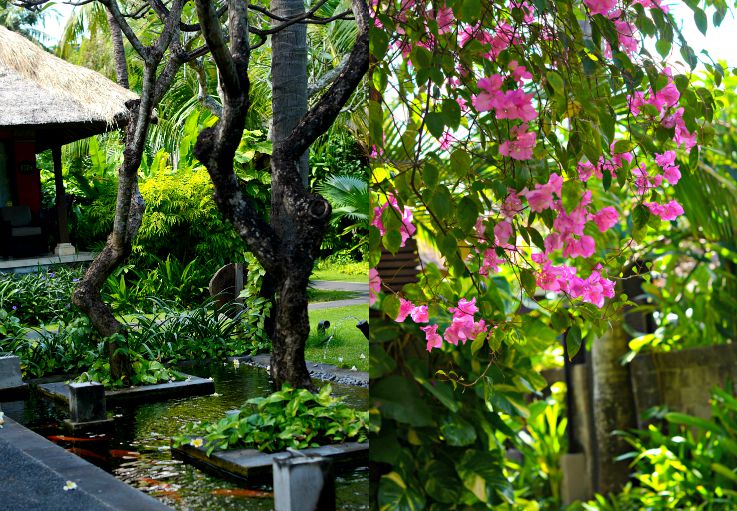 Tropical garden Legian Beach Hotel, Bali, Indonesia