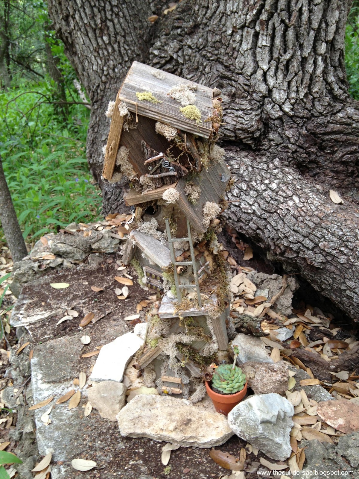 the culdesac From Ann Arbor to Austin Scouting for Fairies