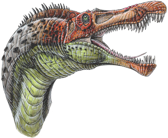 Species New to Science: [Paleontology • 1986] Baryonyx walkeri • a