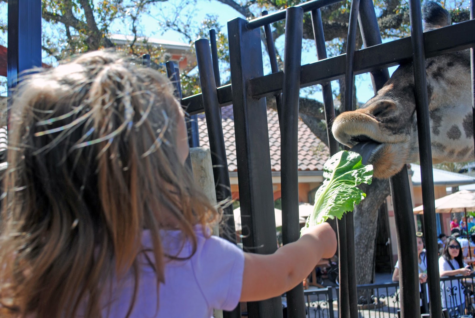 Live Laugh Lopez Spring Break at the Zoo