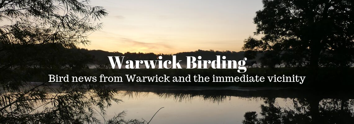 Warwick 100 Birding