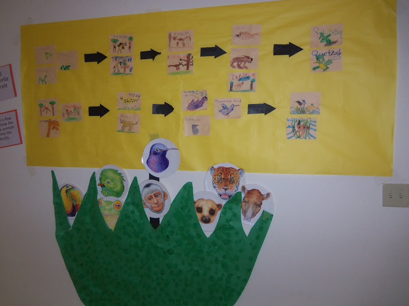 Mrs. Wood's Kindergarten Class: Rainforest Unit