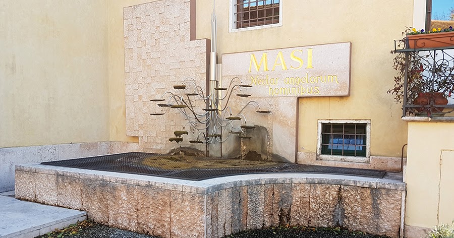 Особые Прогулки : Итальянская Винодельня Masi
