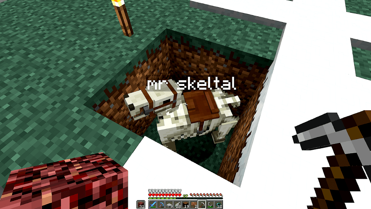 How Do You Feed Horses In Minecraft Horse Choices