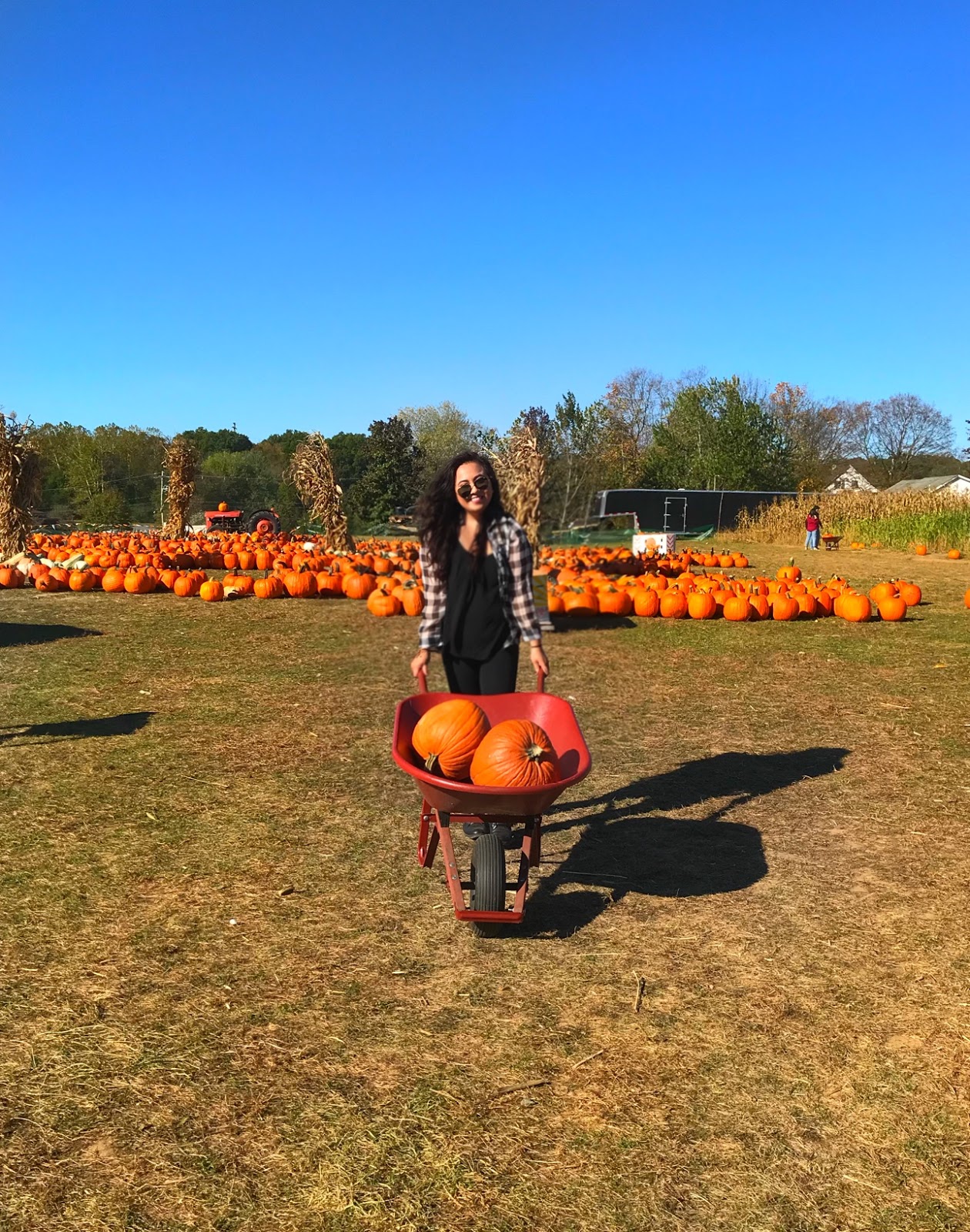 Conklin Farms // New Jersey Wanderlust Beauty Dreams