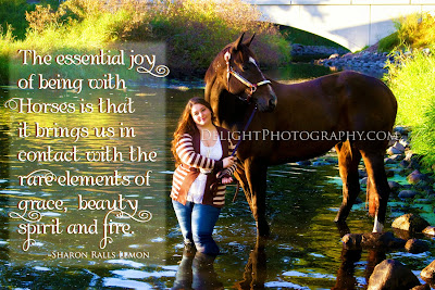 horse rental photography mn, horse photography