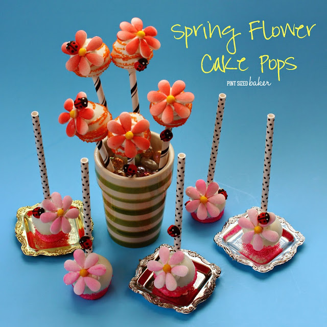 These Easy Candy Flower Cake Pops are perfect for your garden party with your little fairies. They would be so fun for birthday party favors.