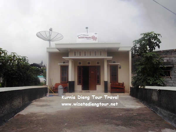 villa mawar merah dieng