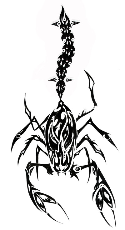 Tribal Tattoos Pics. tribal scorpion tattoo