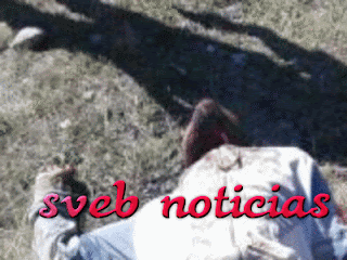 Hllan cuerpo degollado en Acultzingo Veracruz. Noticias en tiempo real