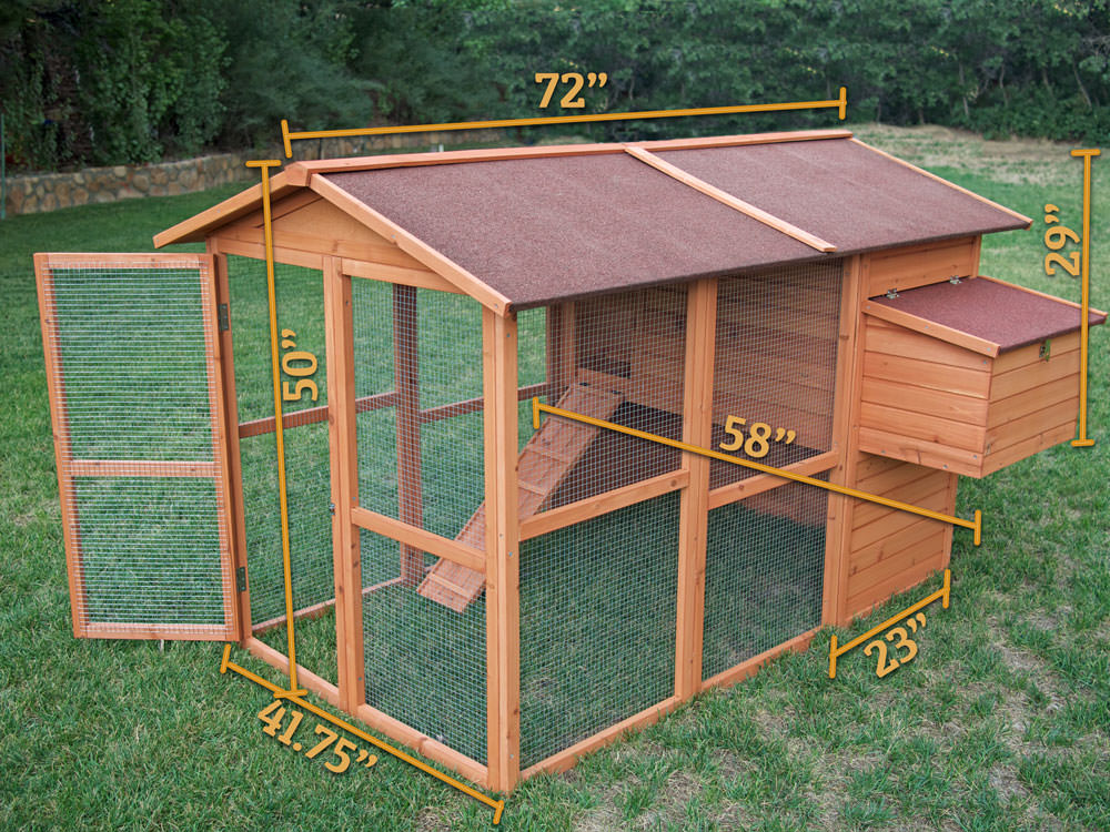 How To Build A Chicken Coop How To Building A Portable Chicken Coop Easy For 12 Chickens