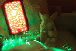 tooth fairy visit night