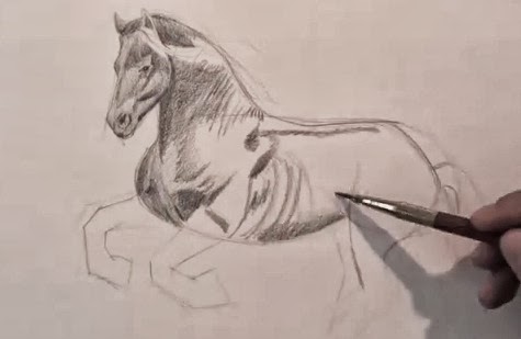 مدونة أرسم بالرصاص تعلم الرسم رسم الخيل العربي خطوة بخطوة