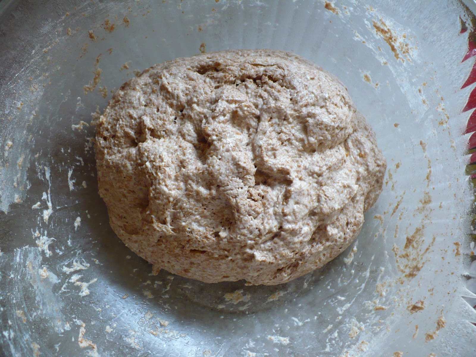 The Tasty Cheapskate Whole Wheat Refrigerator Bread