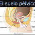 Todo lo que necesitas saber del suelo pélvico