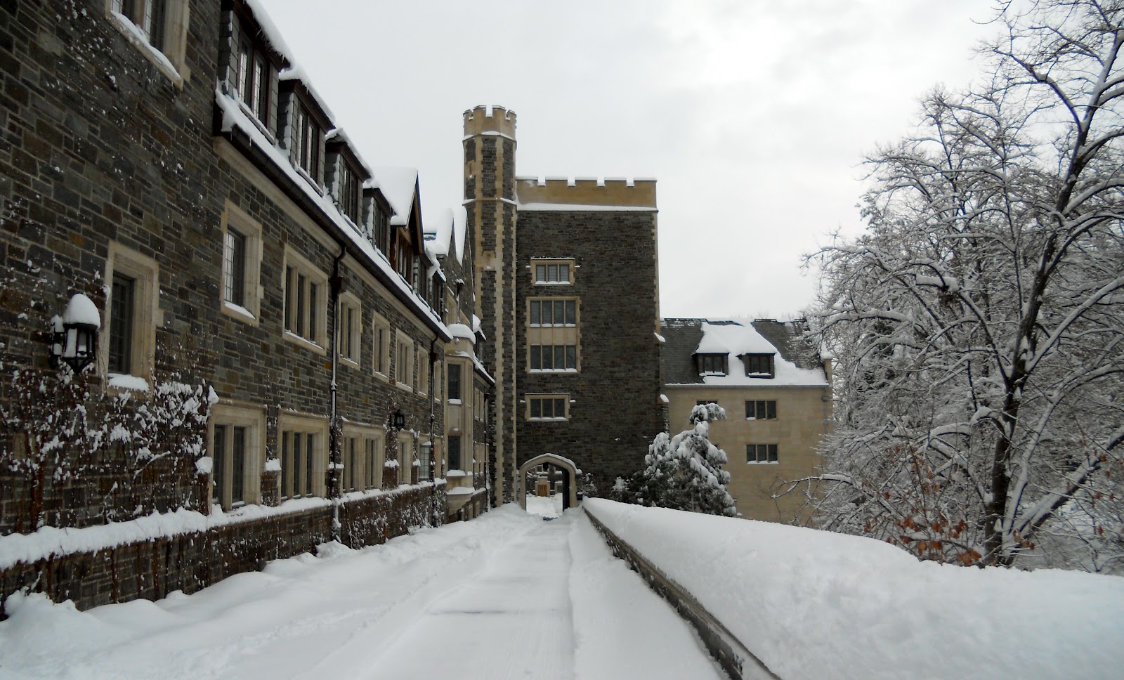 Nature Photography Princeton Winter 2011