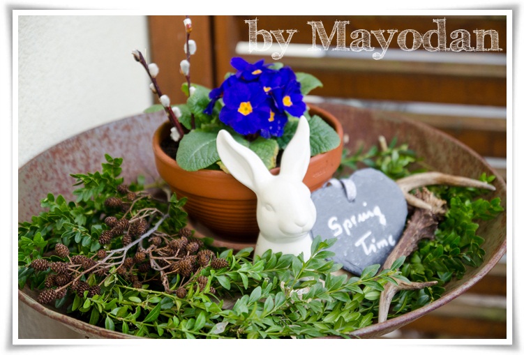 Hauseingang Im Fruhling Mayodans Blog