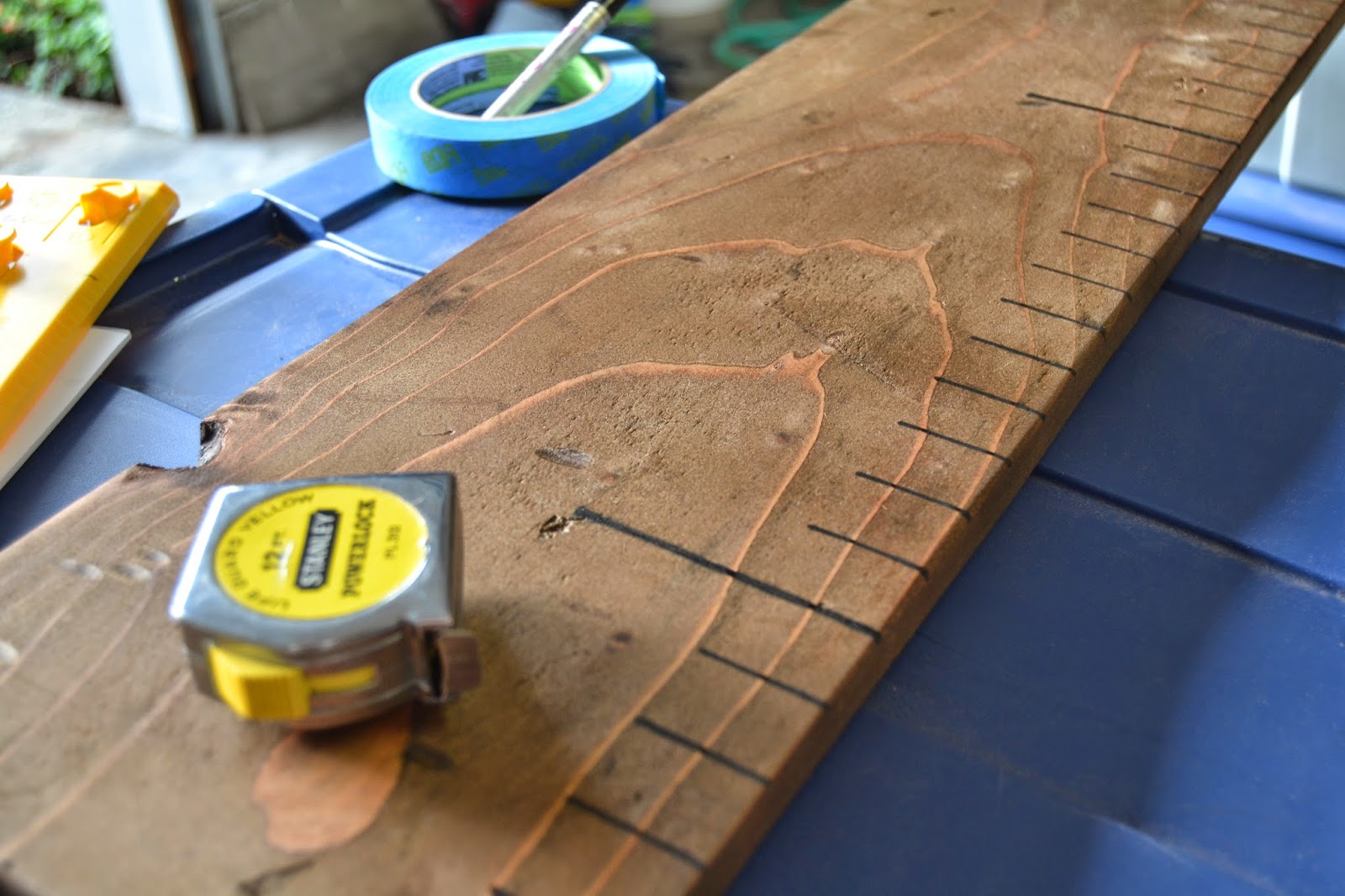 From Foothills to Fog: DIY Growth Ruler