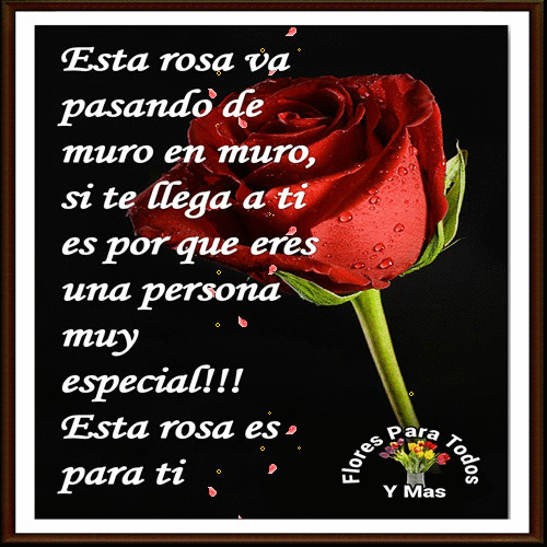 Pin de Horacio Santiago en hhh | Rosas rojas frases, Frases de rosas ...