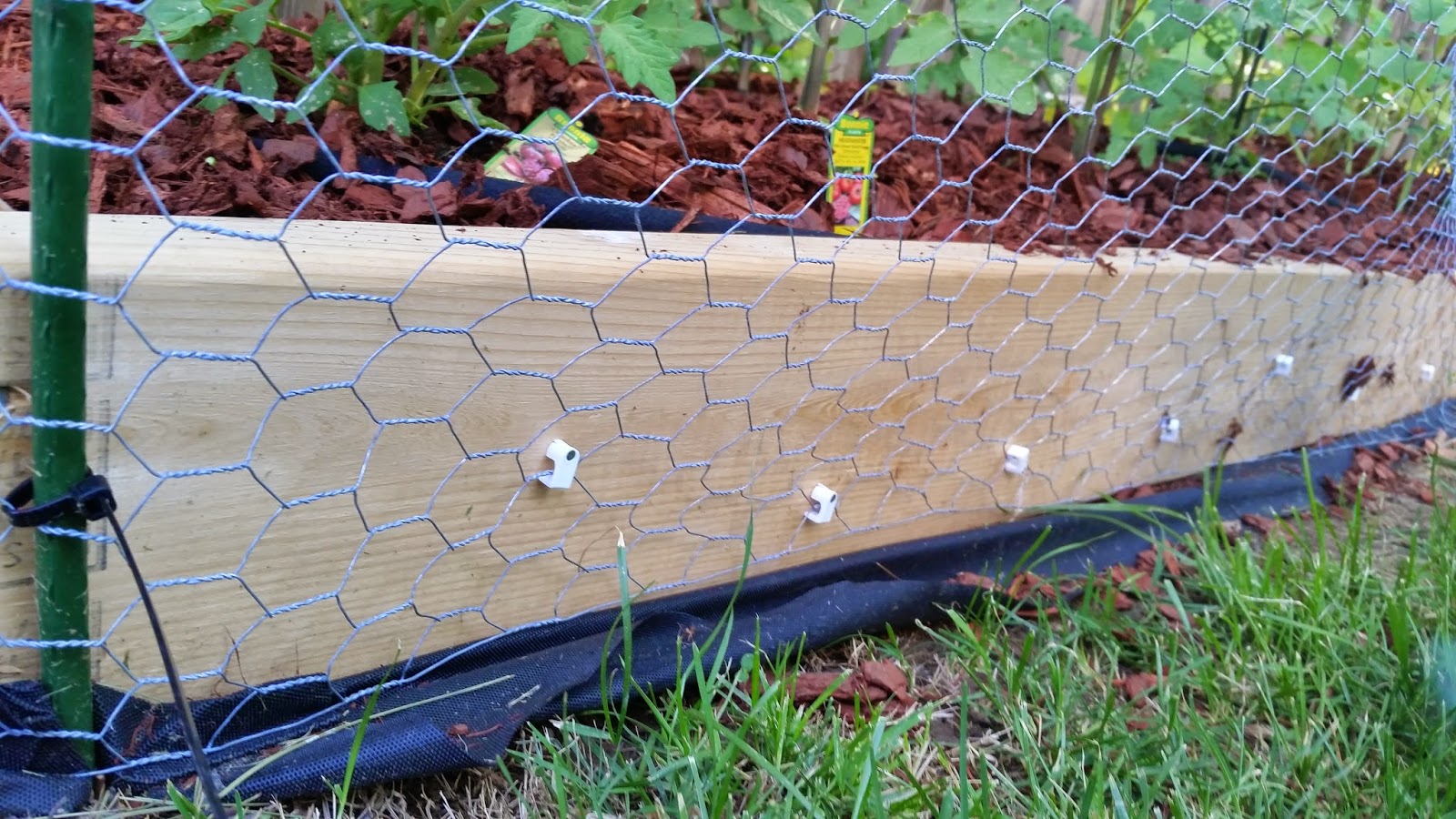 Ben's Journal Gardening Progress More Chicken Wire, Drip Hoses and a