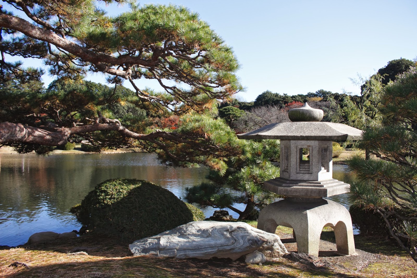 Rose Diamond Shinjuku Gyoen National Garden Japanese Traditional Garden
