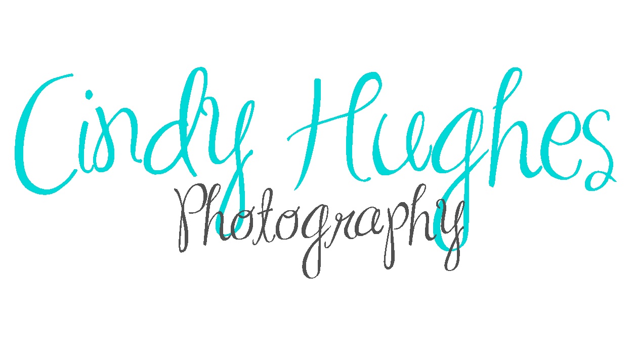 Cindy Hughes Photography