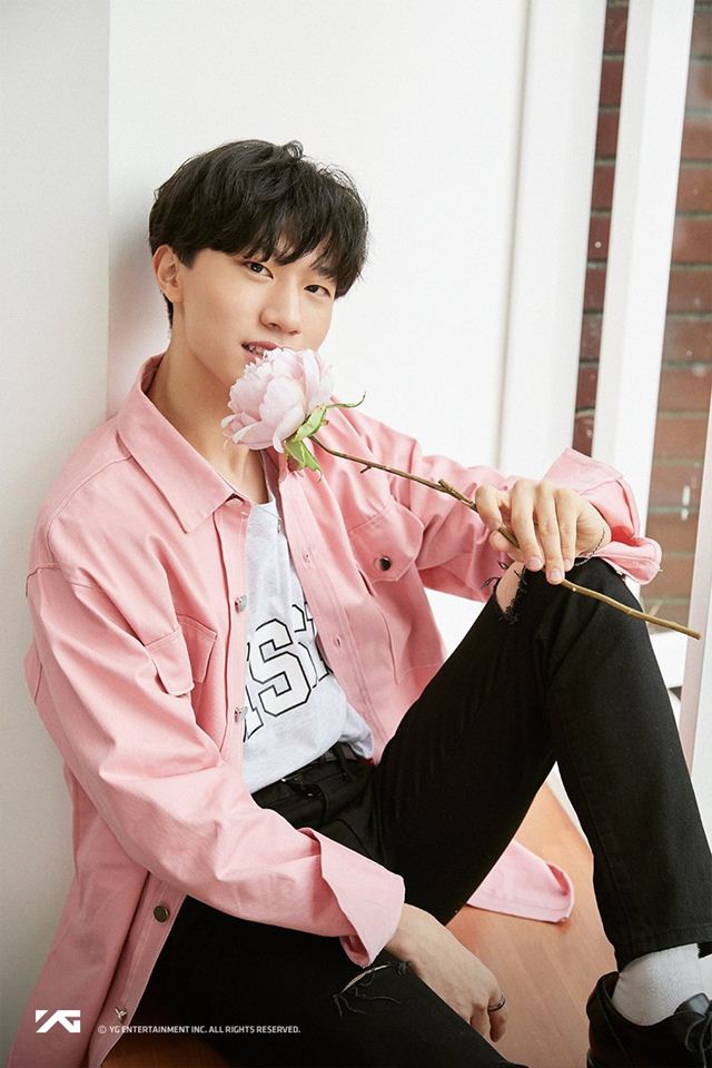 Profil, Biodata, Fakta TREASURE - Omah Kpop