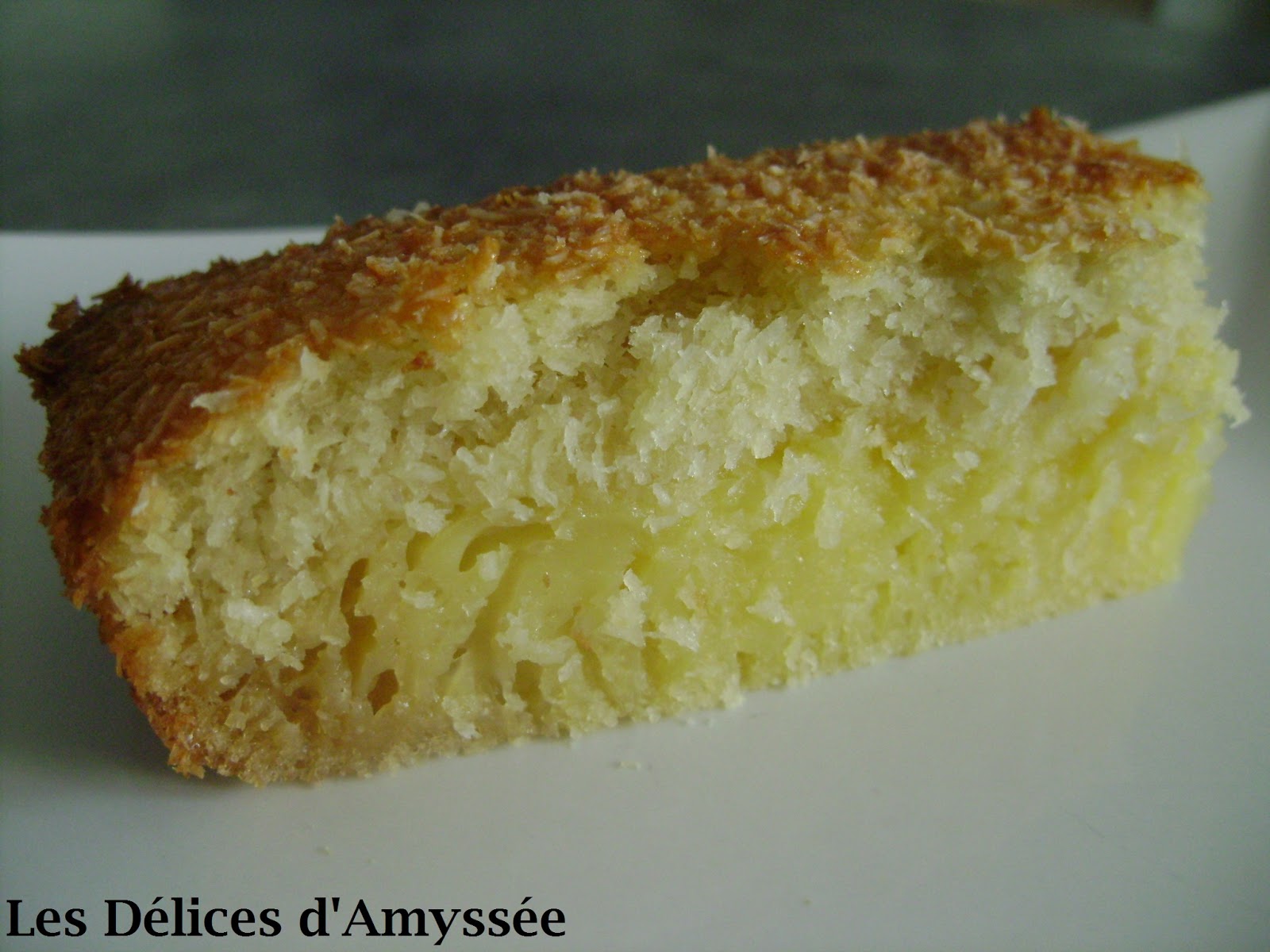 Les Délices d'Amyssée: Gâteau magique à la noix de coco au Thermomix