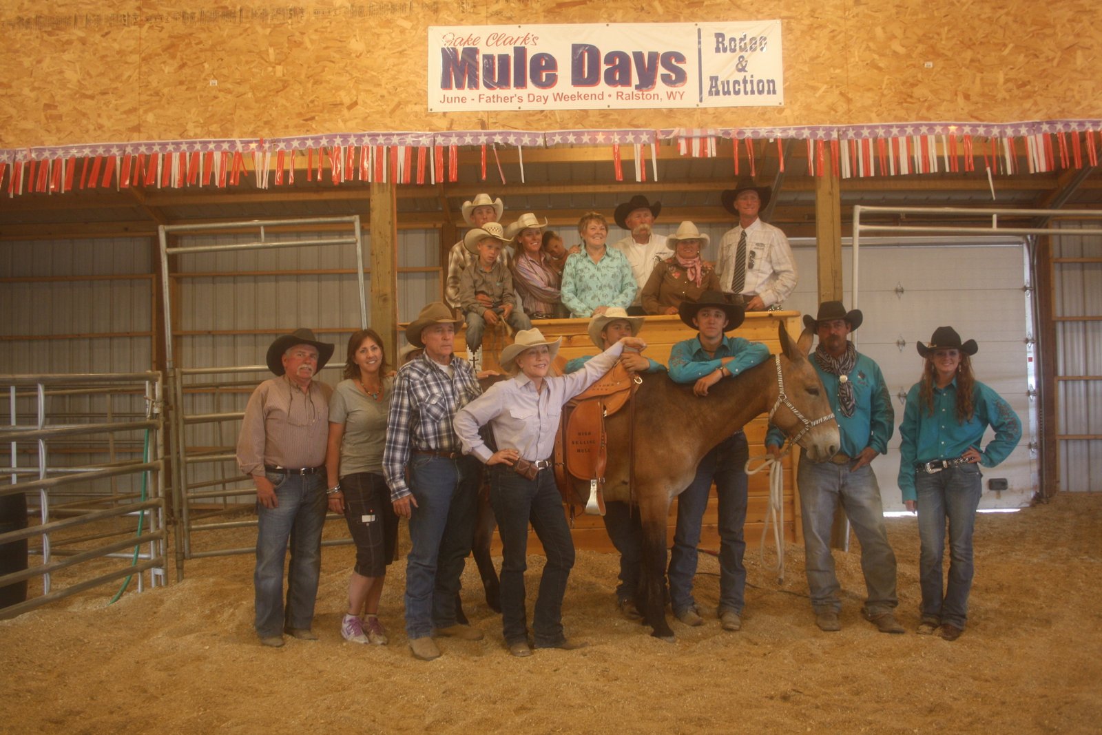 jack clark mule sale