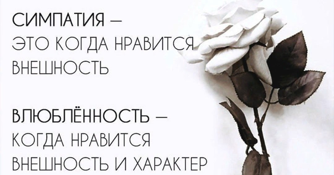 симпатия сайт. симпатия влюбленность и любовь понятия. симпатия влюбленность и любовь понятия. понятие о влюбленности и любви. симпатия сайт.