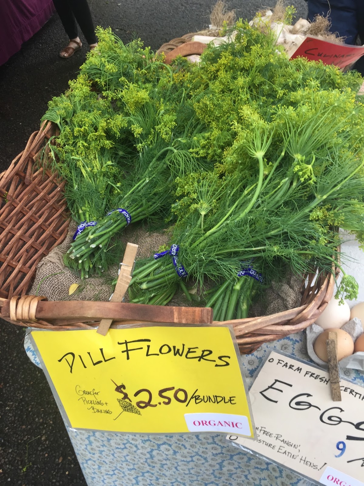 The Delightful Dill Flower