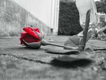 Uma Rosa sobre o Vento