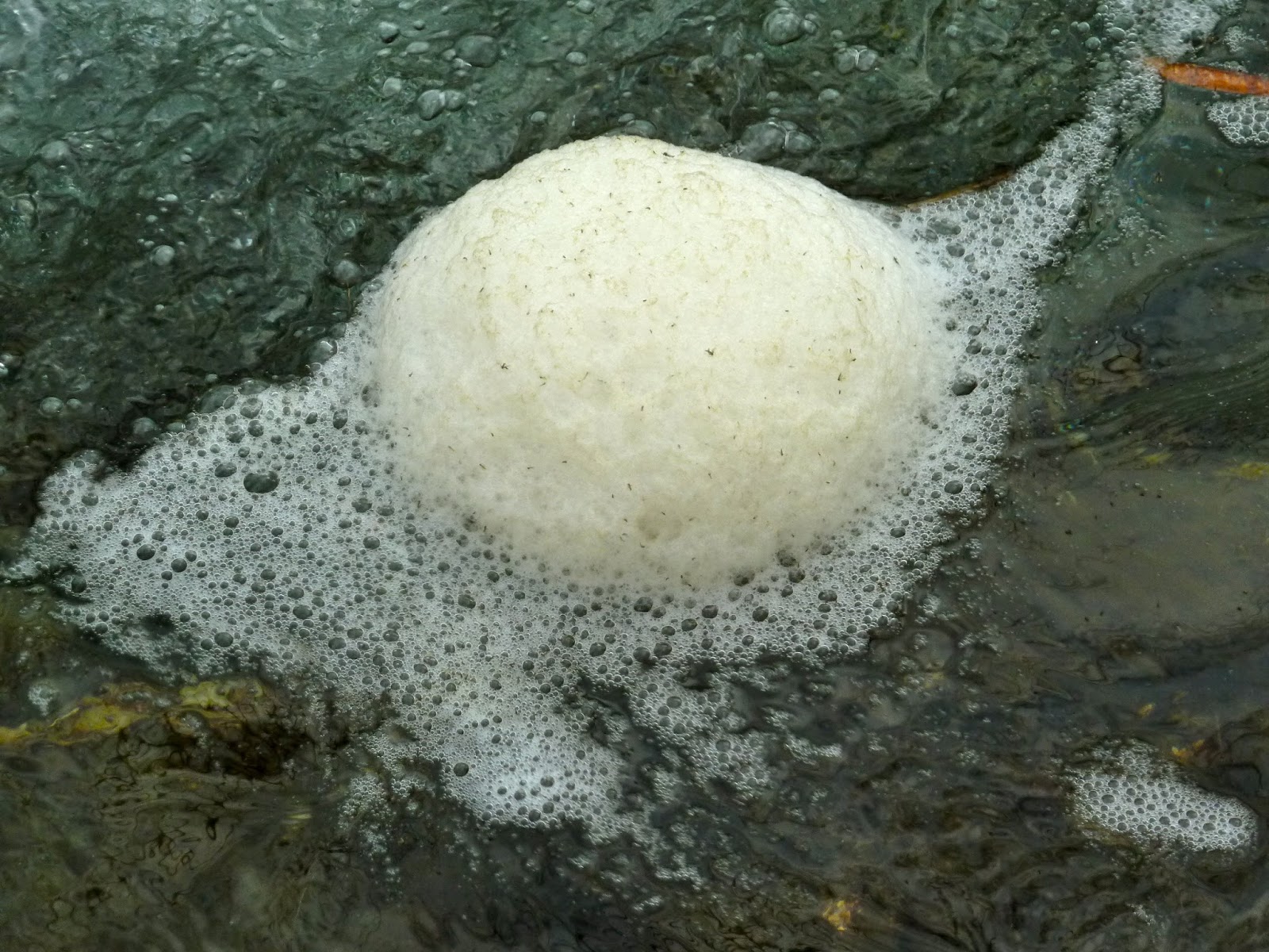 Springfield Plateau Foam on the Water