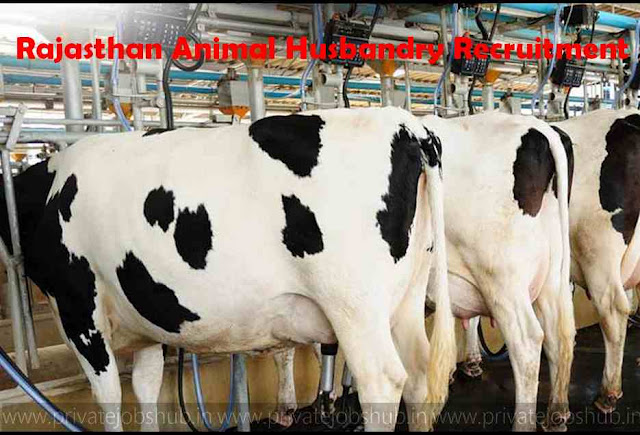 Rajasthan Animal Husbandry Recruitment Rajasthan Animal Husbandry Recruitment