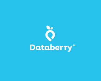 Databerry