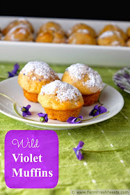 Tender light muffins sweetened with wild violet syrup and sprinkled with wild violet sugar. Edible flowers baked into a Spring floral treat.