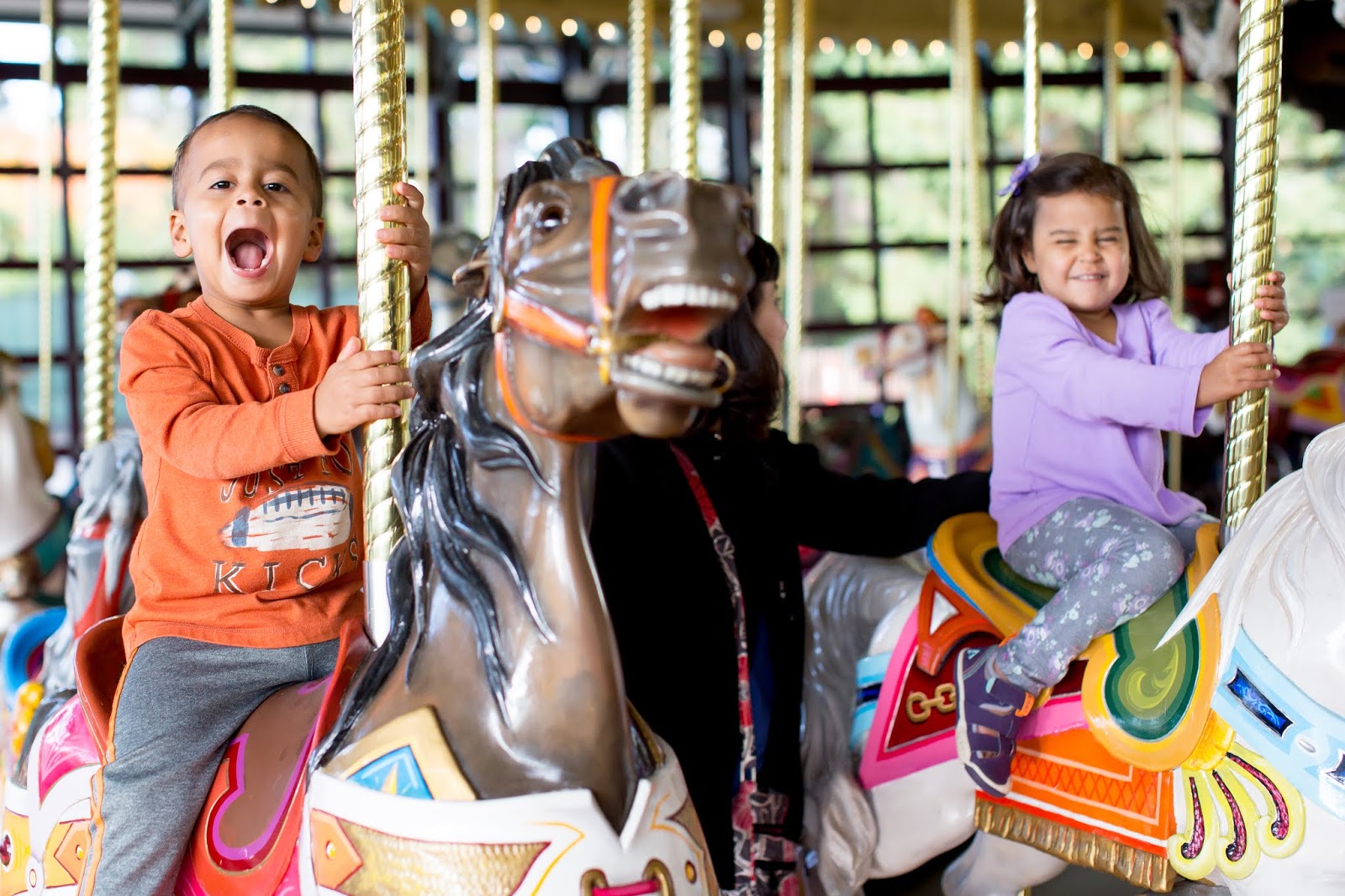 Woodland Park Zoo’s historic carousel is 100 years old! Great Park Zoo